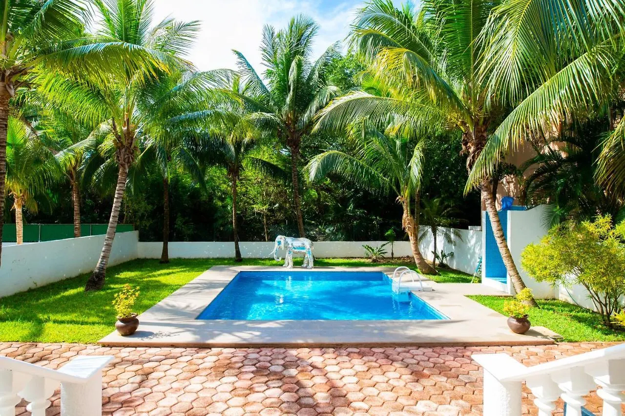 Séjour chez l'habitant Appartement Wellnes Clinic Nery Om à Playa del Carmen Mexique